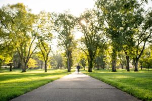 A graduate walks down a path within the middle of the frame, surrounded by trees on the Oval.