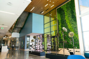 A living wall inside CSU Spur's Terra building, surrounded by a wooden roof and sculptures of sunflowers.