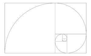 The Fibonacci spiral