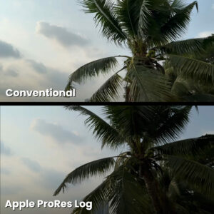 Two pictures of a palm tree stacked on top of one another, each with different levels of contrast. White text on top image: conventional. White text on bottom image: Apple ProRes Log