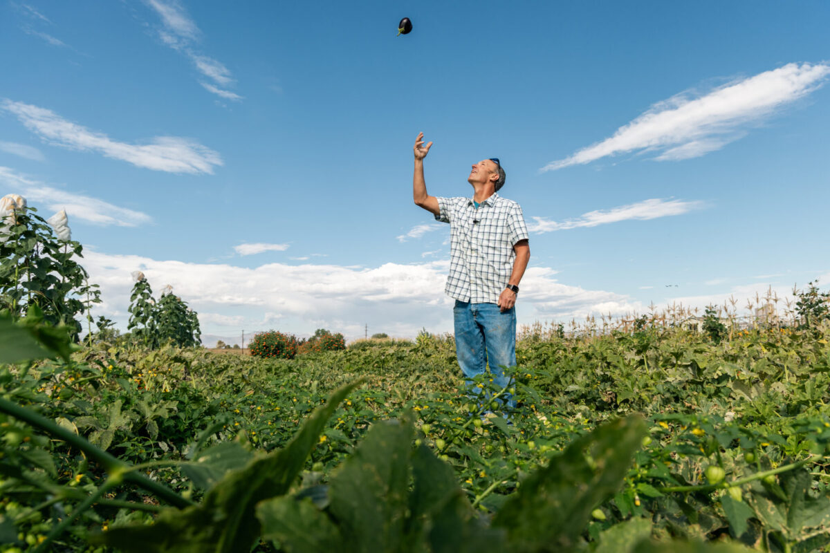 Environmental portrait of a person standing in a vegetable garden at CSU's Agricultural Research, Development and Education Center.
